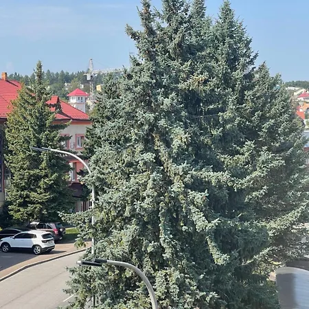 Hotel Villa Sofia * Truskavets