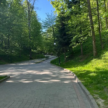Hotel Hotel Villa Sofia Truskavets