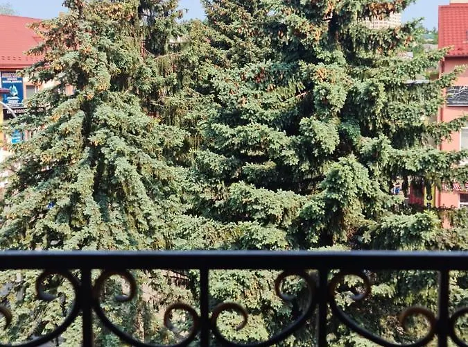 Sofia & *
